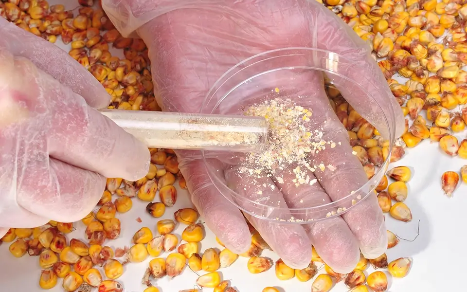 飼料・畜産資材